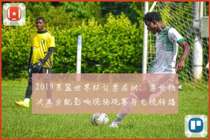 2019男篮世界杯订票启动：票价档次及分配影响现场观赛与电视转播