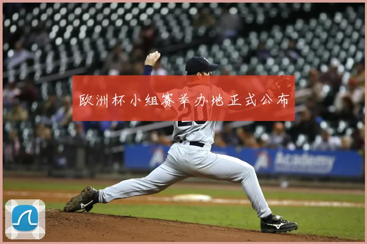 欧洲杯小组赛举办地正式公布